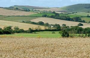 Fields and farmland