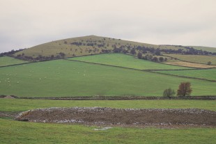 A rural landscape