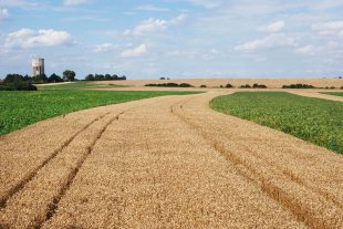 Landscape of strip field farming near Epworth in the Humberhead Levels