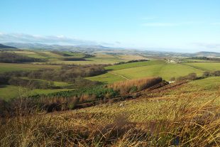 Landscape of hills with mixed farming in Northumberland