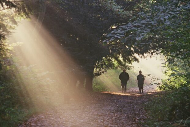 two people walking in the forest