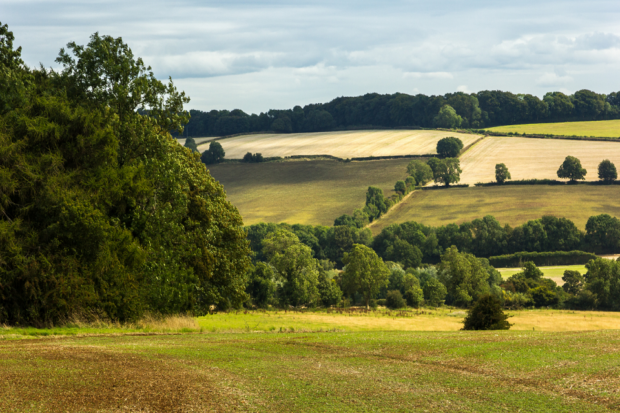 Image of a countryside