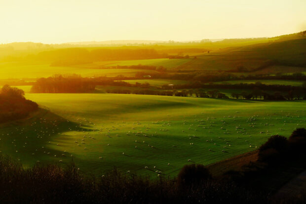 Farming landscape