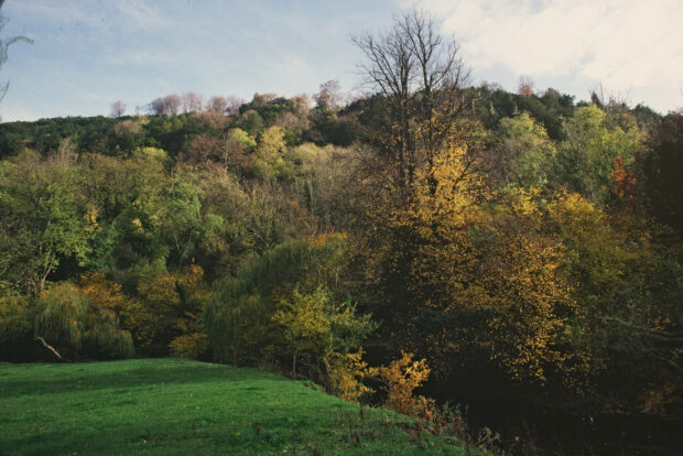 Landscape photograph of Box Hill, Surry