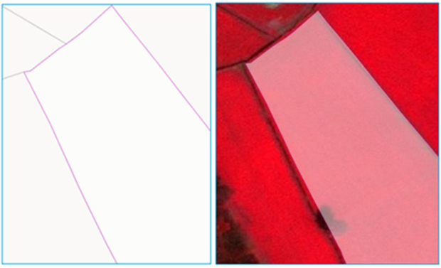 On the left, lines showing how a land parcel is mapped on the system. On the right, an aerial photo of the same land parcel. The outlines of the parcel on both images are similar