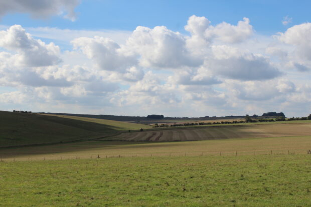 Landscape on a farm