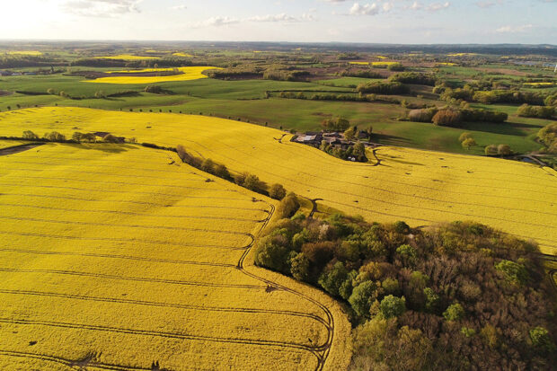 Aerial view of oil seed rape fields