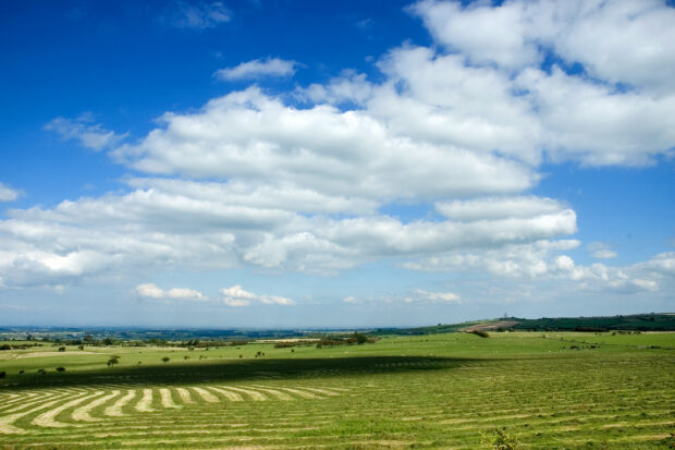 Landscape of fields