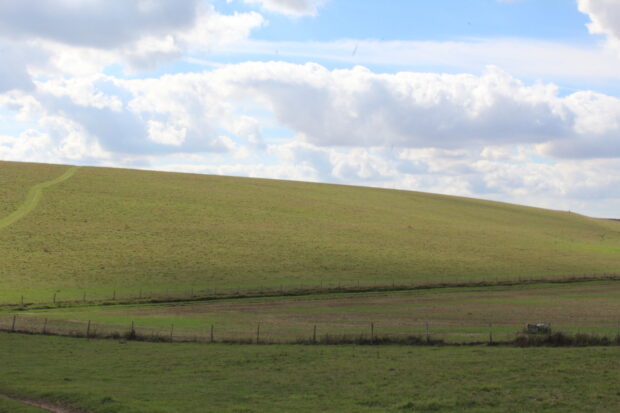 Landscape image of a field