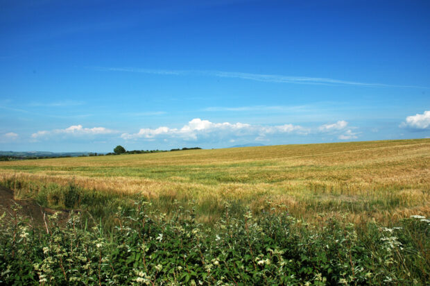 A landscape image of a field with blue clear skys.