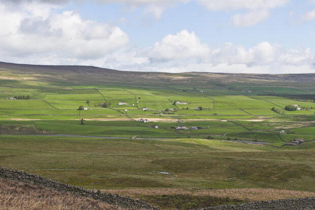Landscape images of fields in Teesdale
