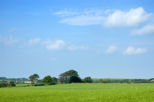 Blue sky with a green field landscape and trees in the middle distance