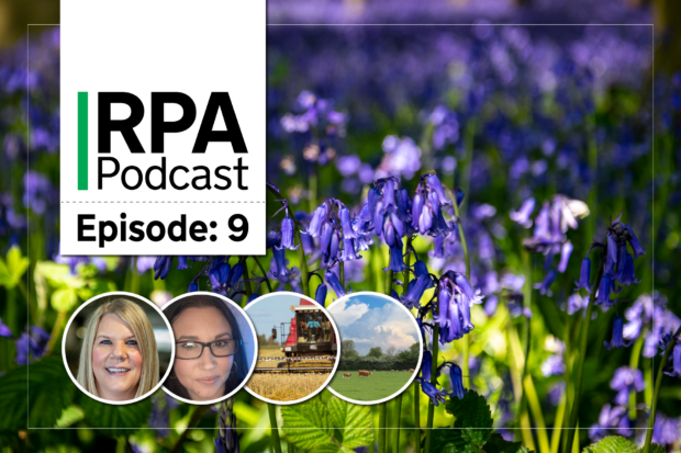 RPA Podcast Episode 9 - bluebells background