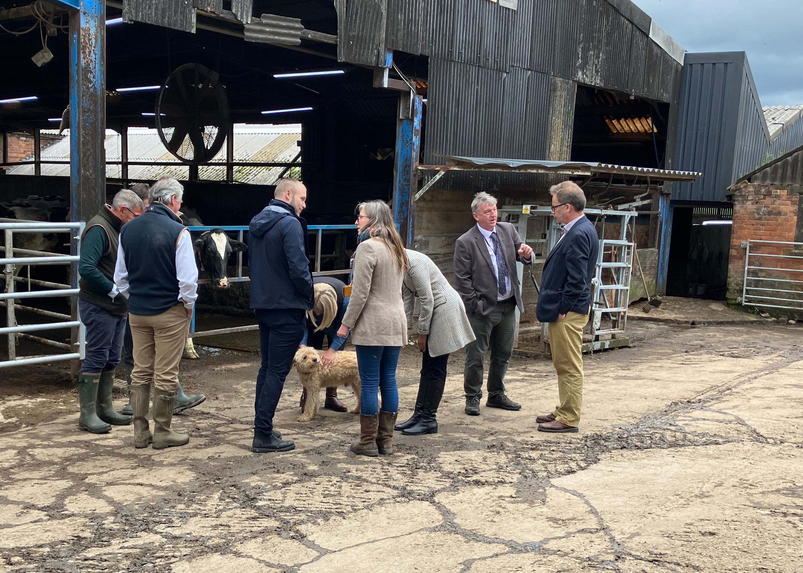 RPA staff in farm yard